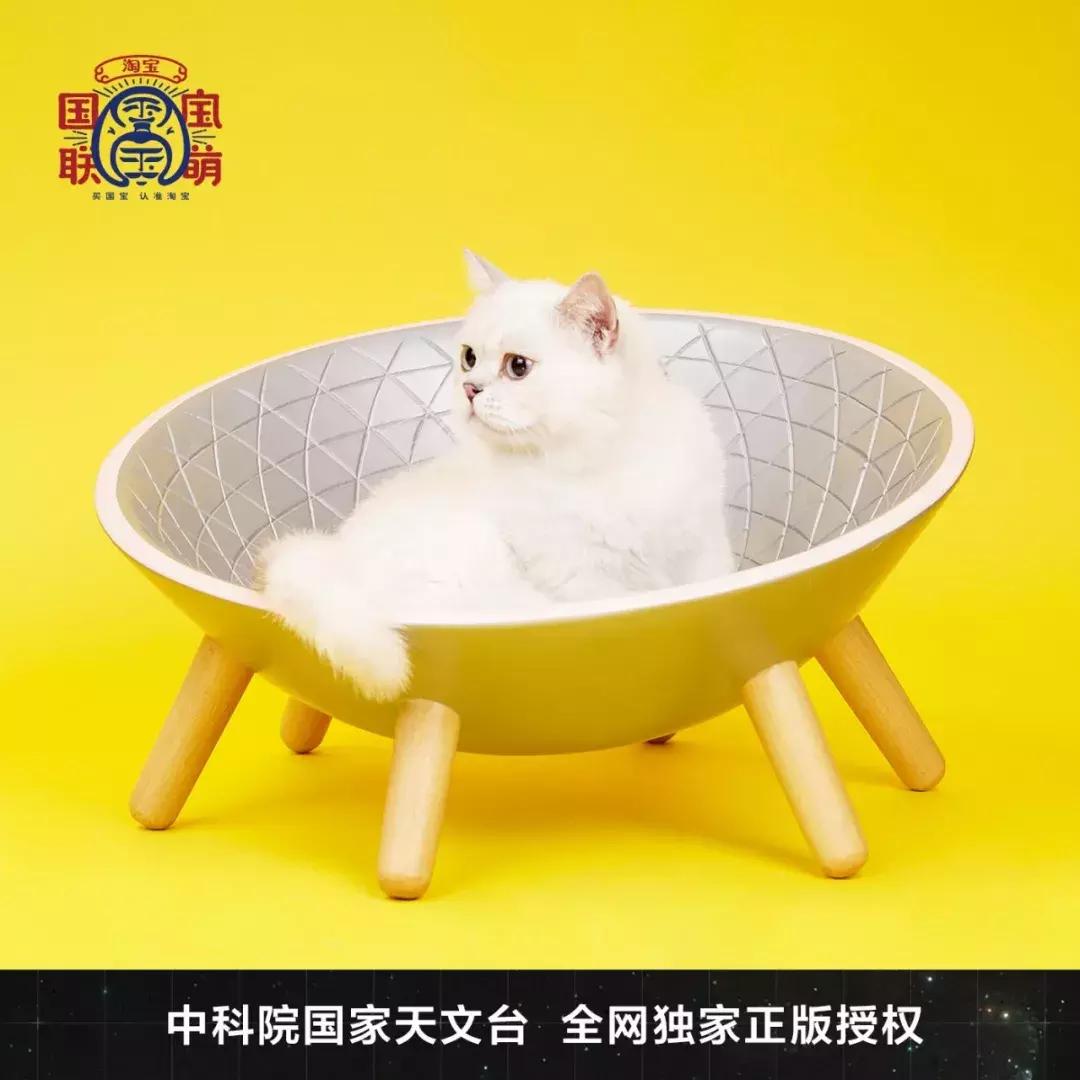 中科院卖猫椅科技变身网红并不是坏事