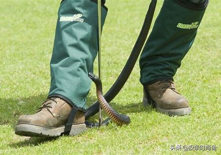 五种式样的袜子各7双,袜子大全500种