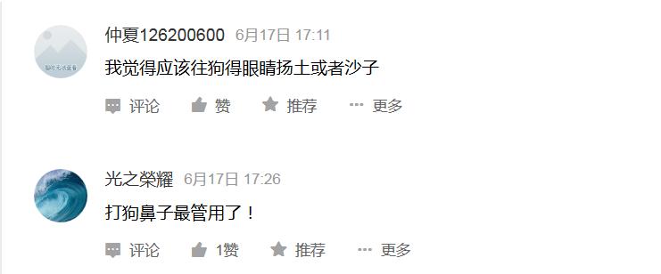 告诉孩子被狗咬怎么自救,如果小孩被狗咬怎么自救