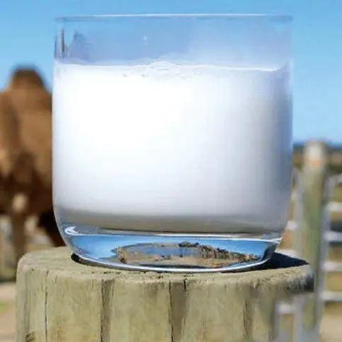 驼奶钙片怎么识别真假,驼奶钙片怎样辨别真假