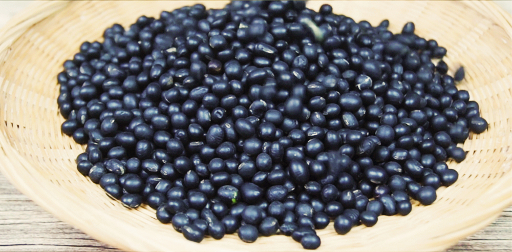 九十六岁老人黑豆的吃法,黑豆养生吃法