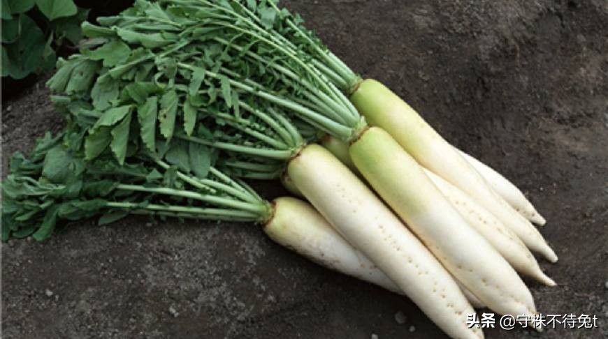 1000个冷知识大全,一张100元的钞票大概多重