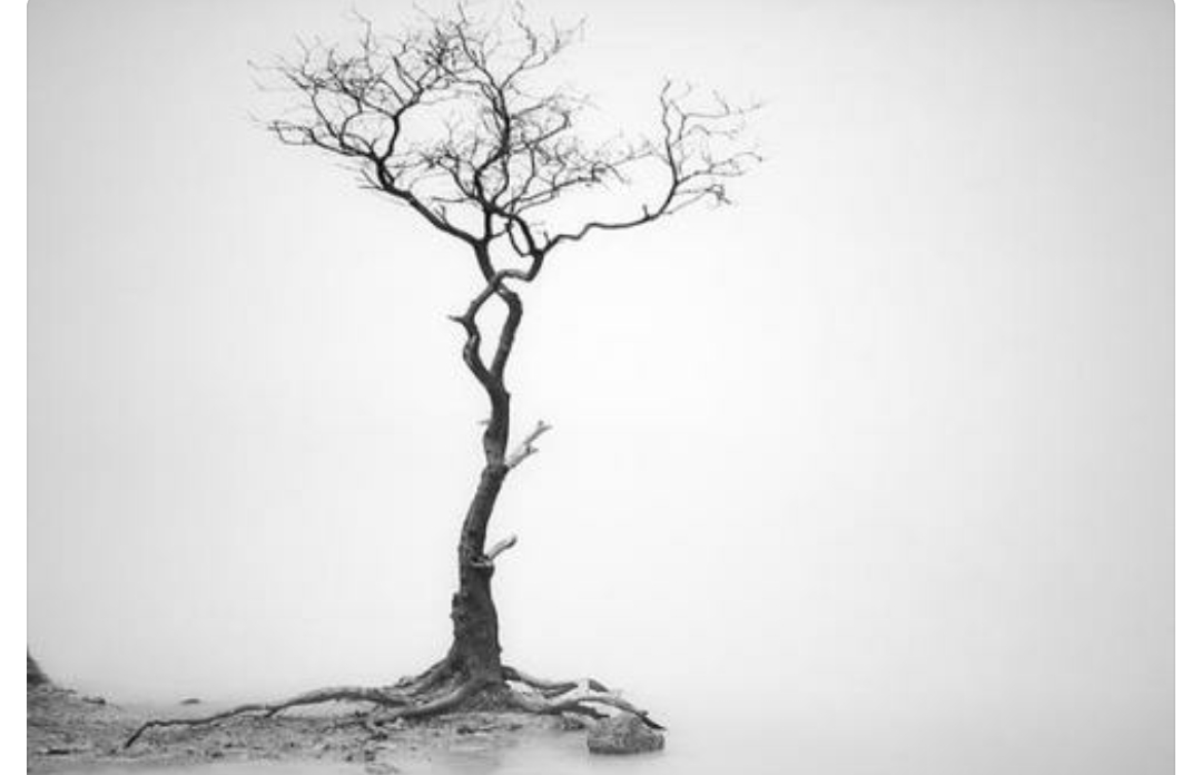 如果你经常内心压抑,告诉你常用的九种心理发泄的方法。