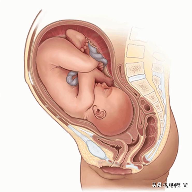 奶粉里有致癌成分吗,奶粉有害食品