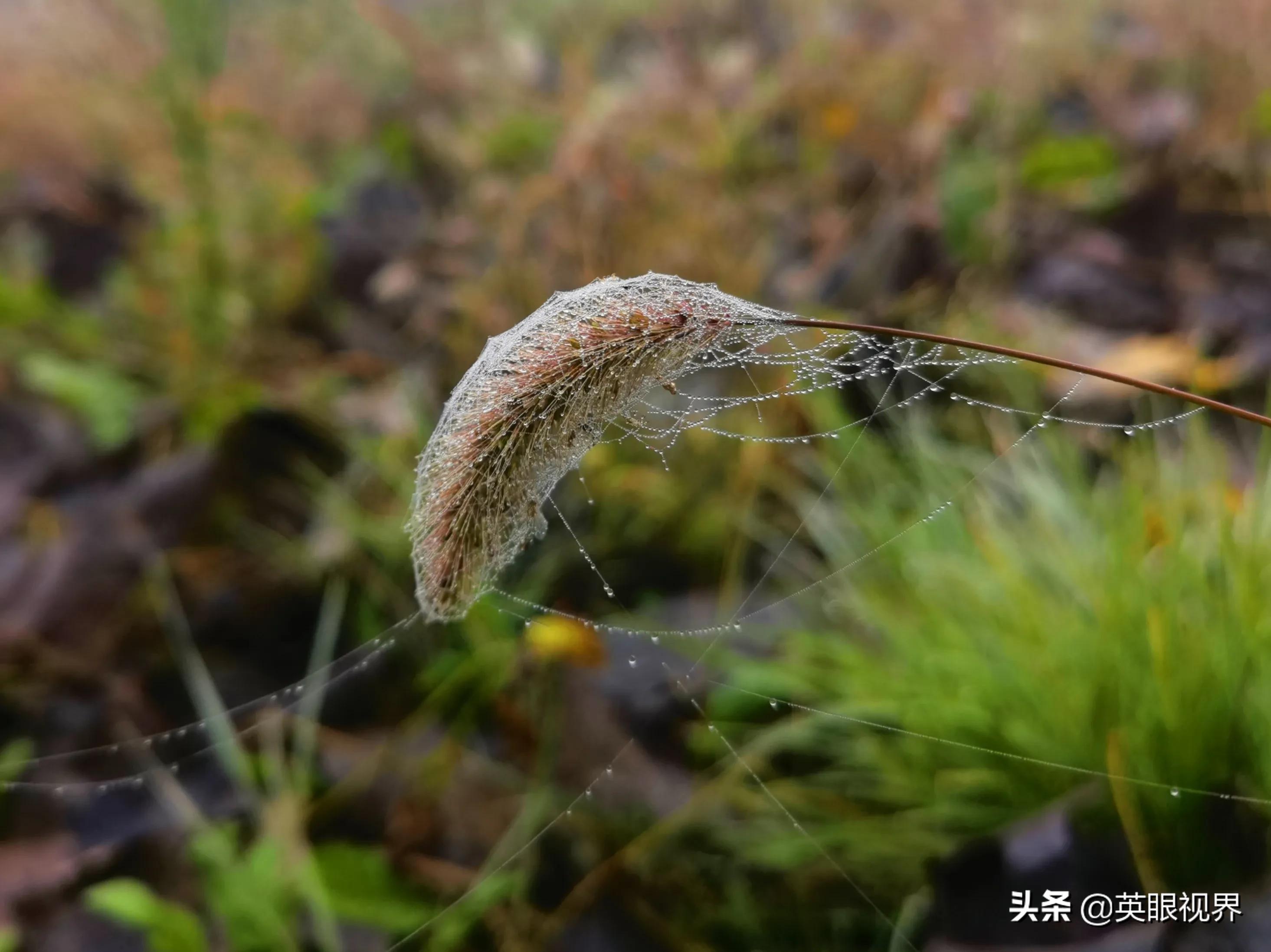 借钱朋友不还怎么起诉,借钱给朋友还不了可以报警吗