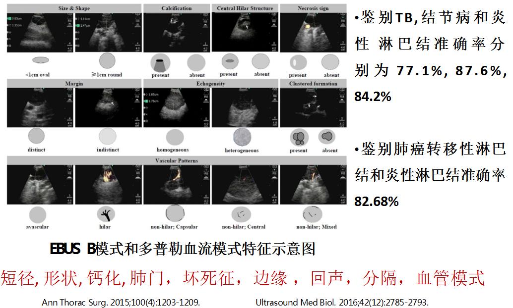 支气管镜高频电刀治疗中央型肺癌,支气管镜在早期肺癌诊断的意义