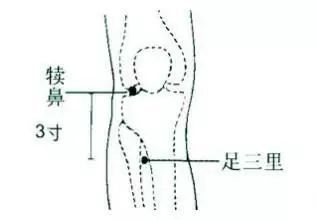 腿上气血不通畅按摩什么穴位,腿麻脚麻按摩哪个穴位比较好