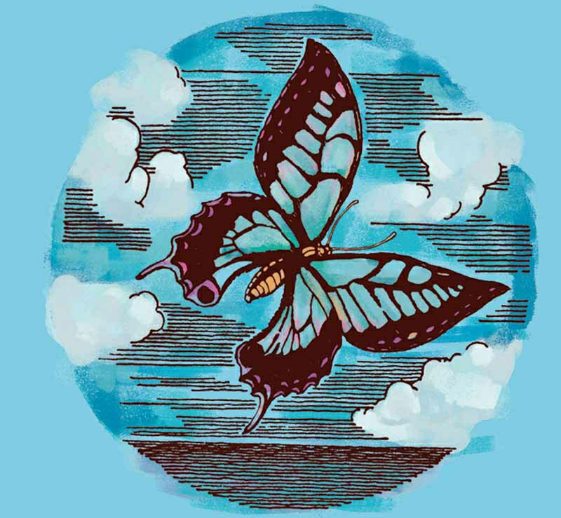 骑鹅旅行记尼尔斯的成长过程,尼尔斯骑鹅旅行历险记梗概