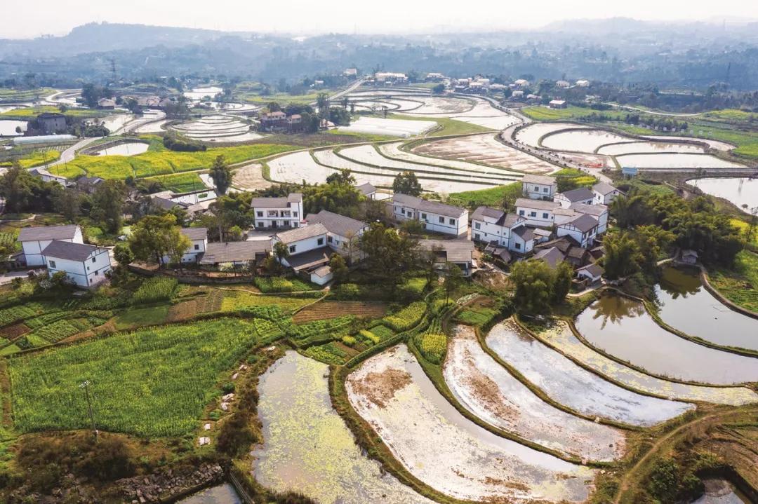 四川省乡村振兴重点帮扶村名单,四川乡村振兴重点帮扶村名单西充