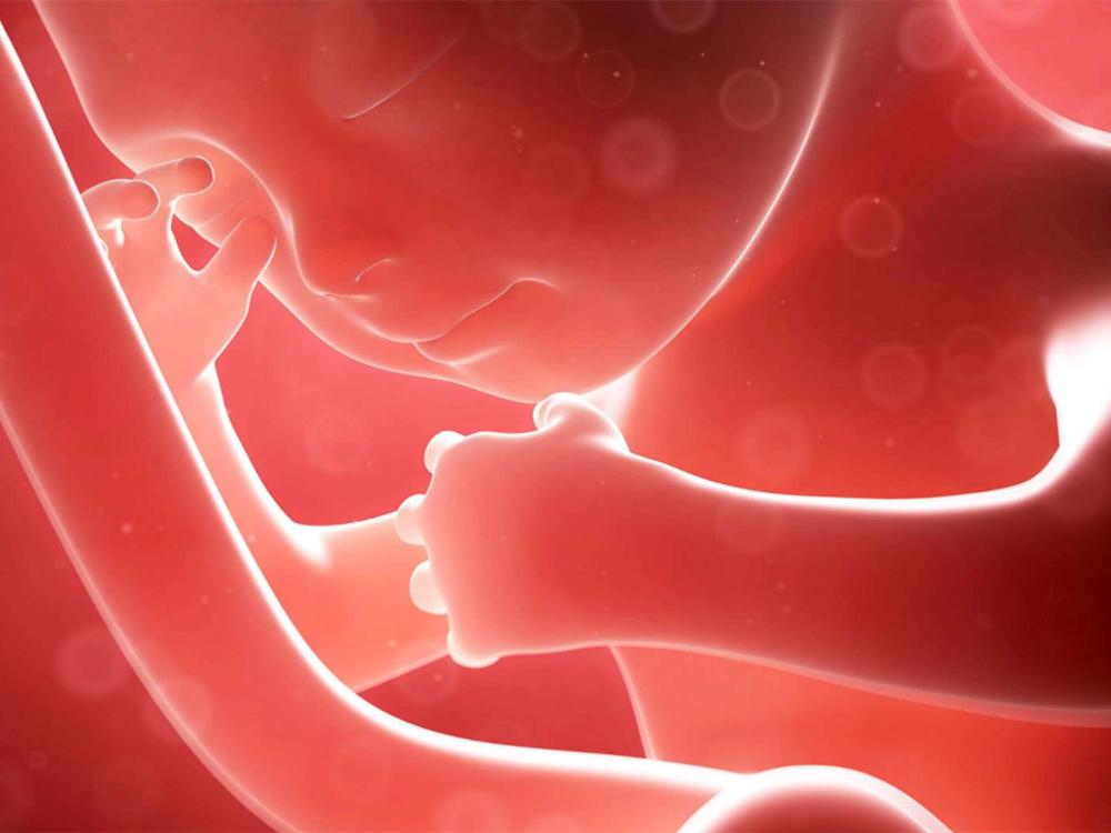 宝宝肚脐肿,宝宝肚脐有点肿怎么回事