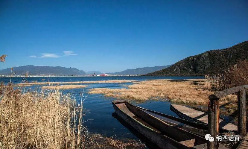 杨杰宏昆明,杨杰宏