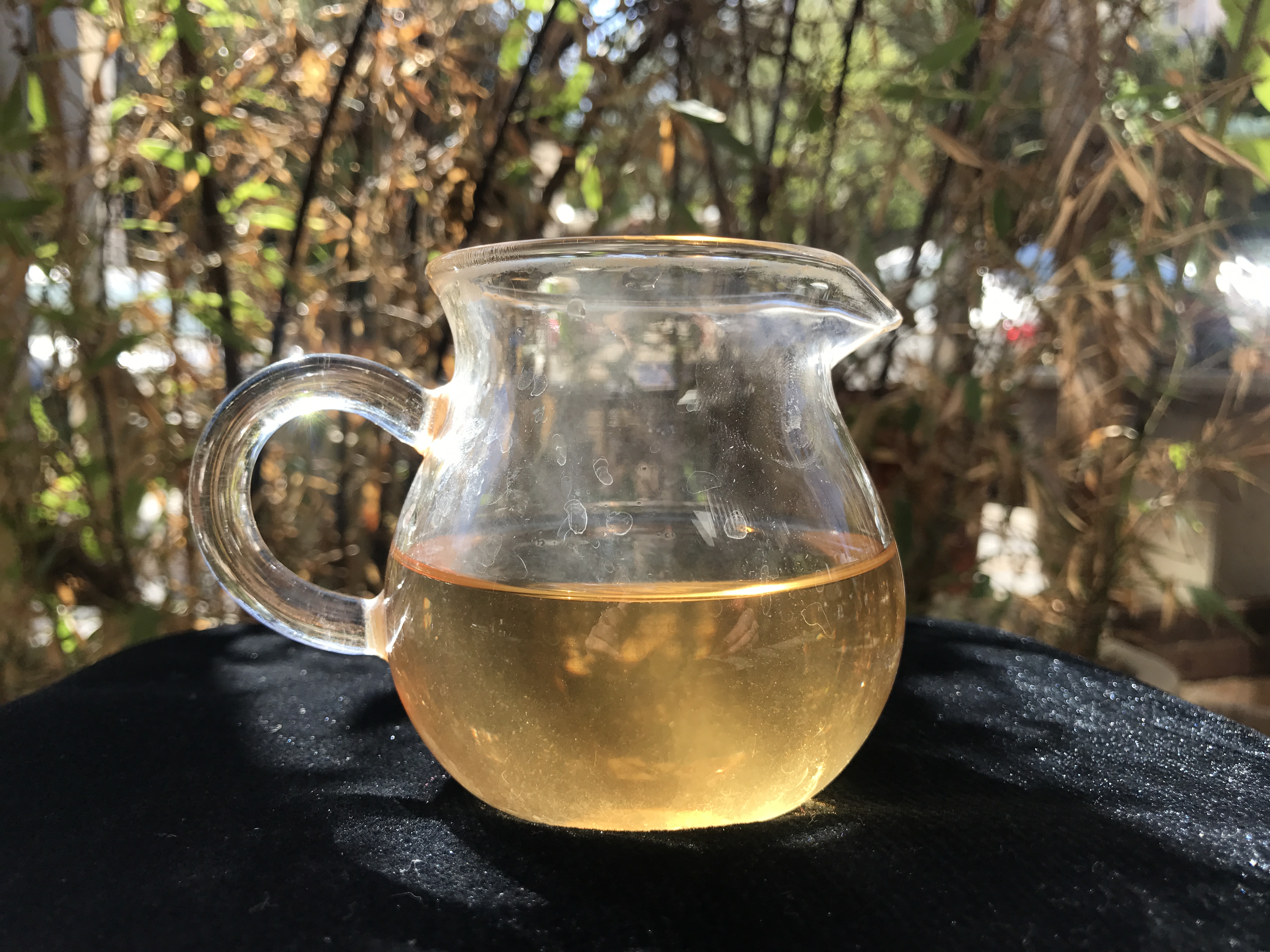 03年凤牌甲级沱茶,老徐鉴茶第二十五期