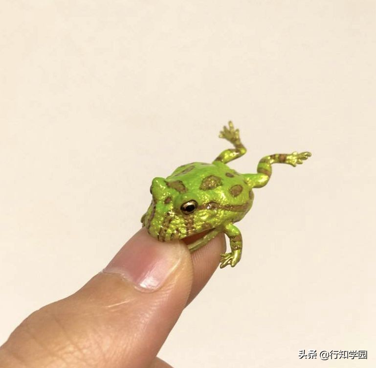 青蛙耳夹,卡通青蛙公仔耳夹