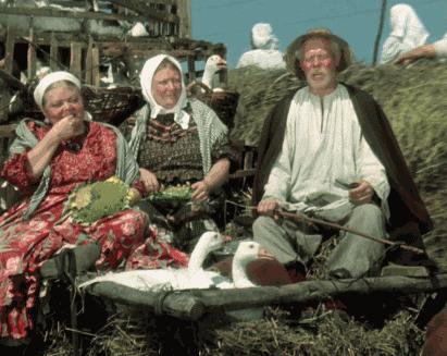 外国人嗑瓜子的纪录片,瓜子