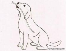 新生幼犬中的病犬该如何护理？又该如何避免？一篇文章告诉你