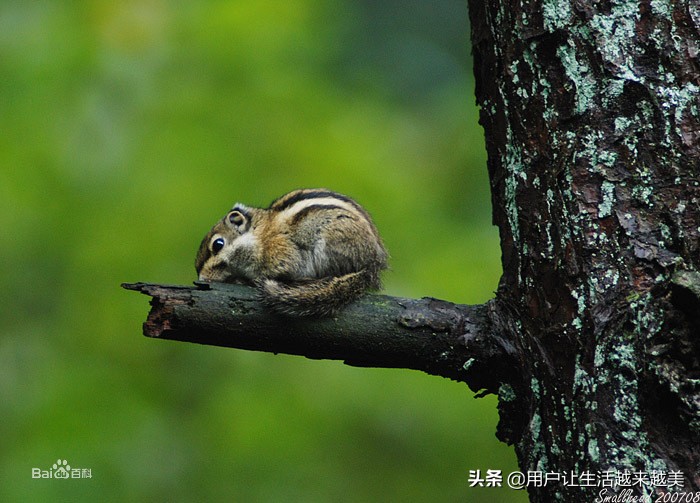 新疆的美丽地方,新新疆是个好地方
