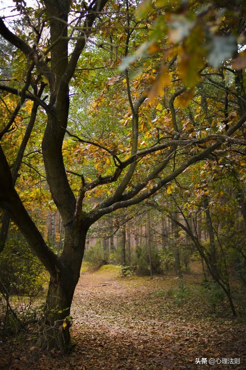 内心抑郁压抑怎么缓解,抑郁压力大怎么缓解