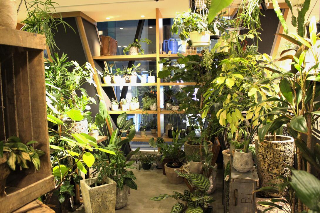 日本时尚潮牌品牌大全,日本潮人买什么