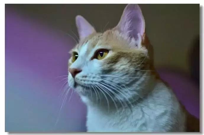 生僻字原唱完整版抖音,抖音网红生僻字是谁唱的