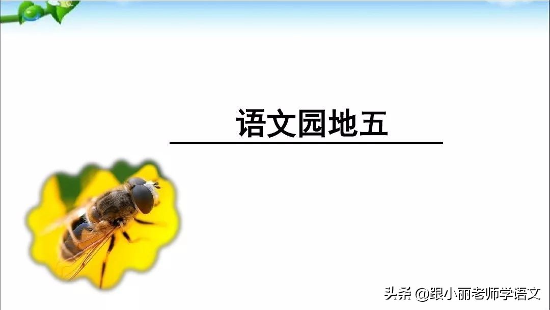 部编版五年级上册语文园地二图片,部编版五年级上册语文园地二笔记