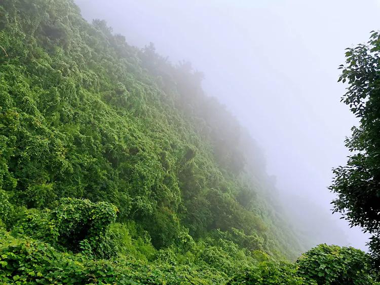 华容山水苑别墅100万,华容秀丽山水风景区