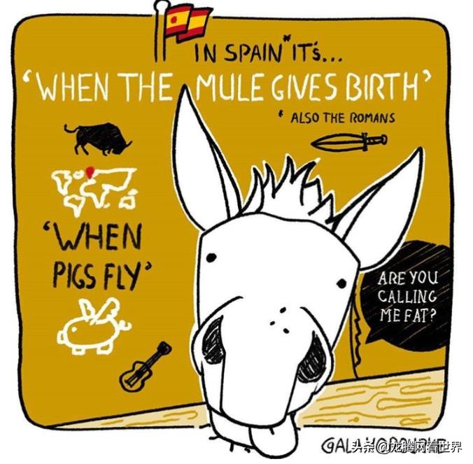 【龙腾网】讨论：中文“猪都会飞了”习语是“太阳从西边出来了”