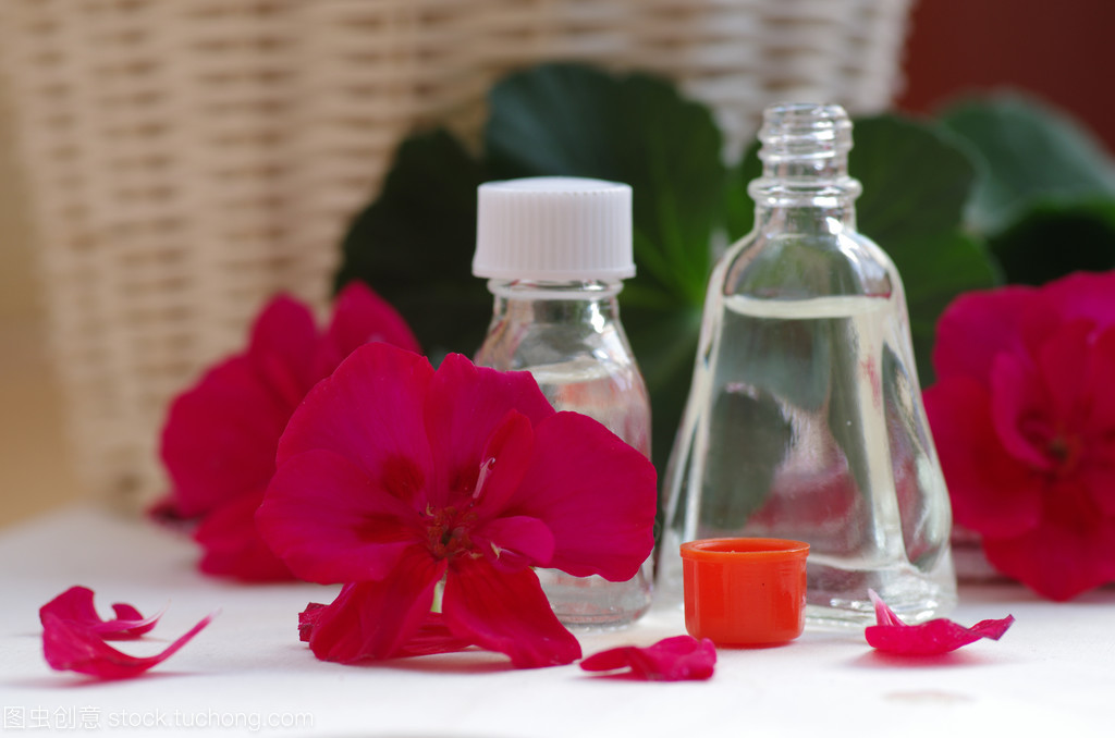 教你认识大牌香水,天竺葵精油的使用方法