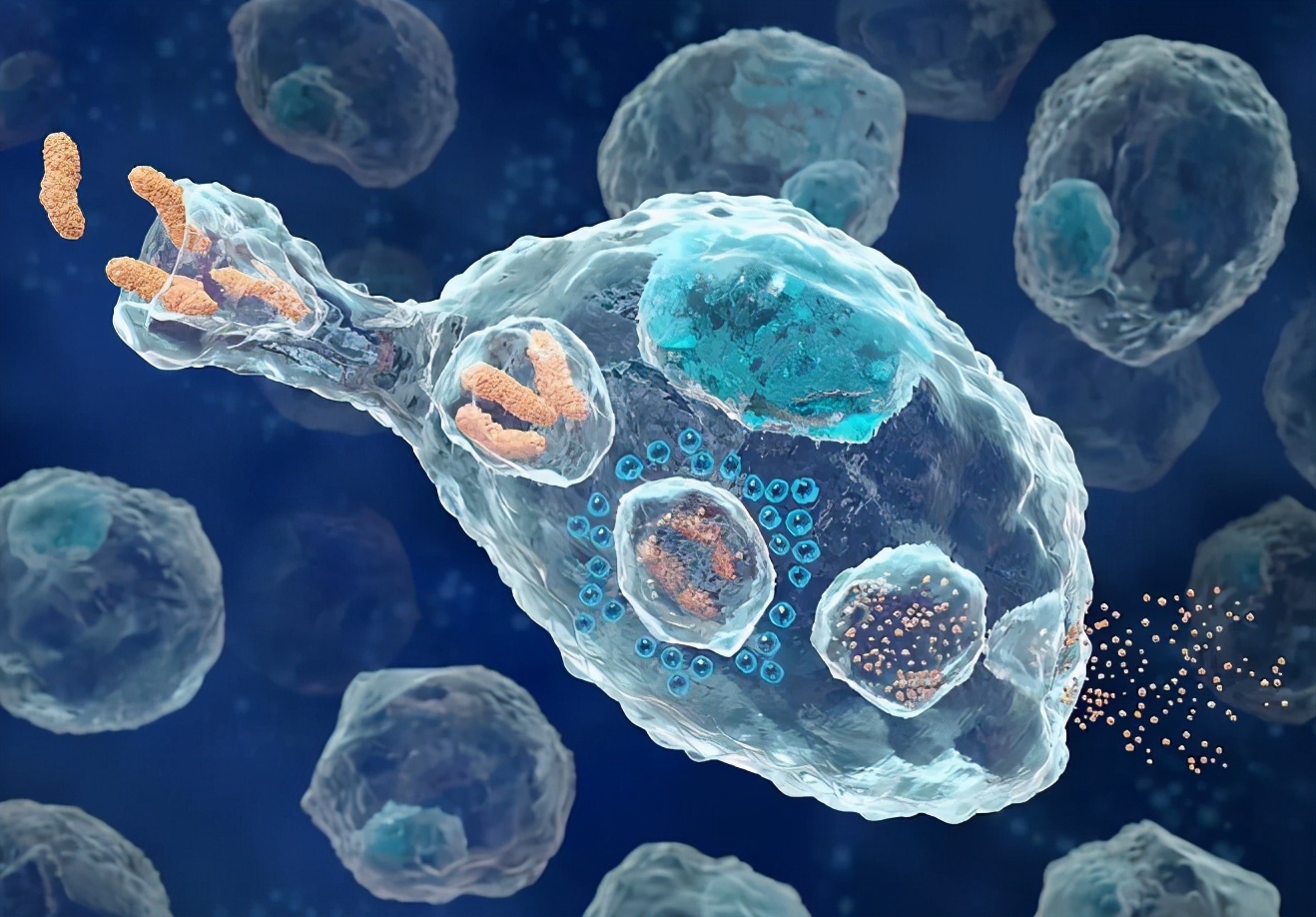 胶质母细胞瘤靶向治疗有效吗,胶质母细胞瘤适合靶向药治疗吗