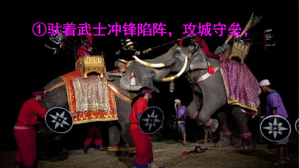 五年级下册与象共舞的作者是谁,与象共舞语文五年级下册老版