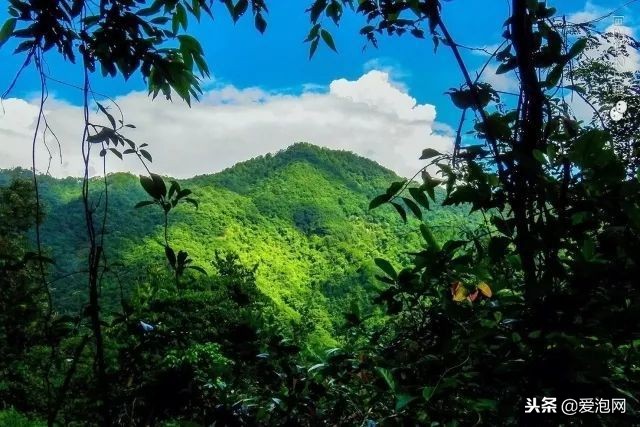 广东森林海温泉酒店攻略,广东云天海原始森林温泉度假村