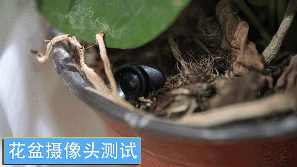 租客发现针孔摄像头,发现公寓有针孔摄像头房东倒霉吗