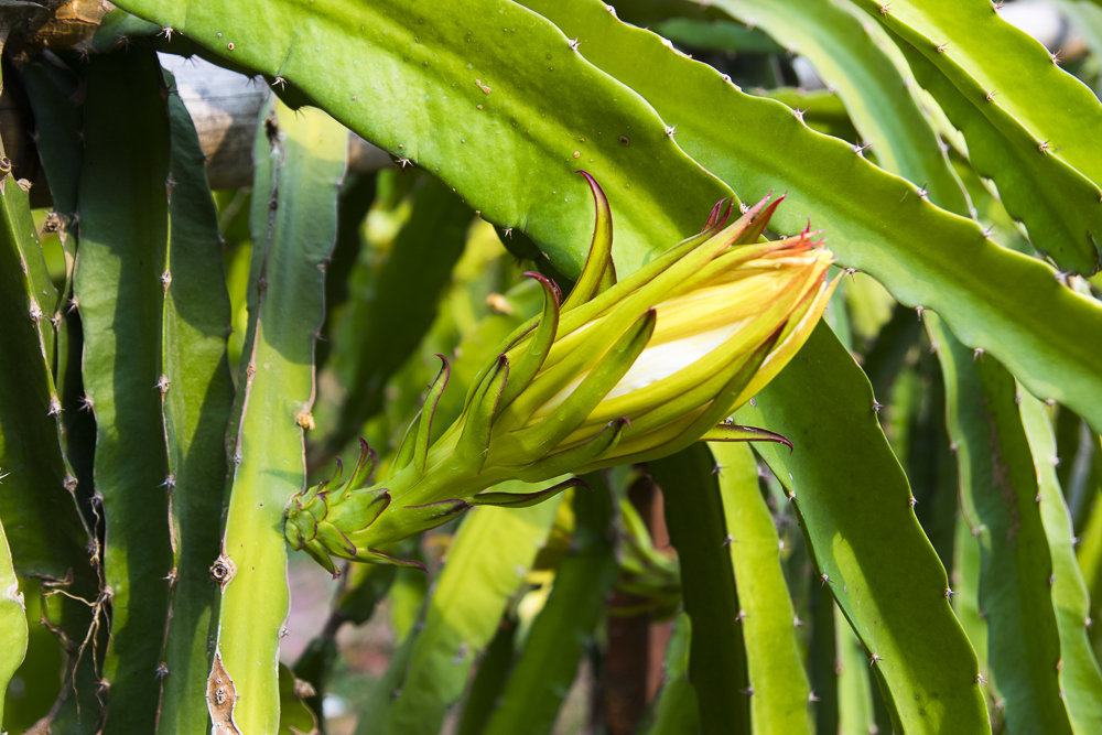 #毕业旅行啦#石家庄慧灯庄园，夏日里寓教于乐爽歪歪