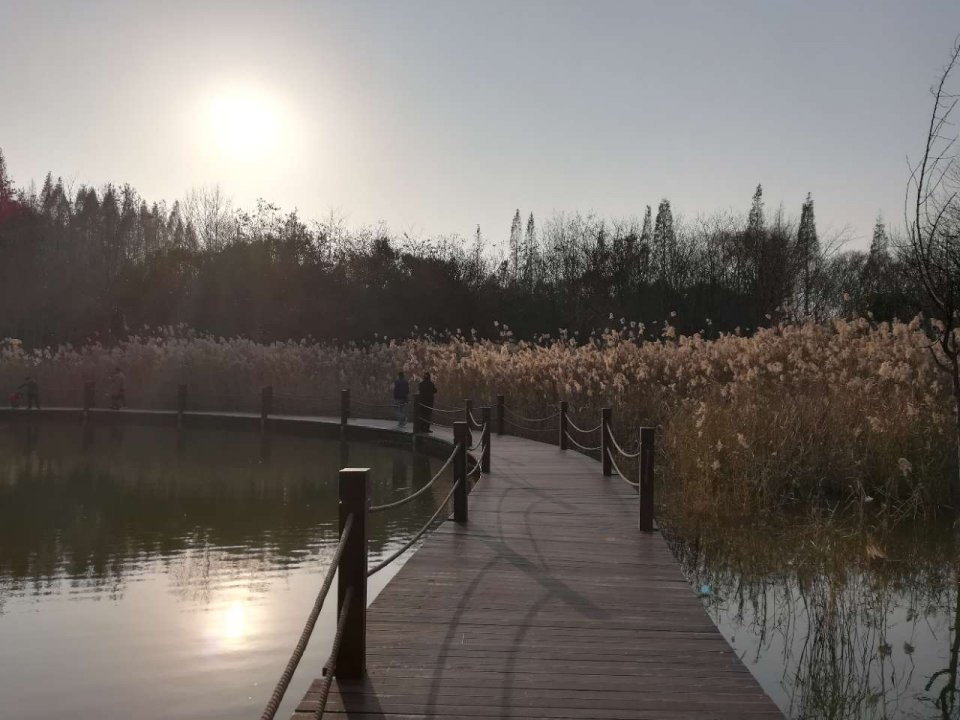 淮南湿地风光视频,淮南公园景点大全