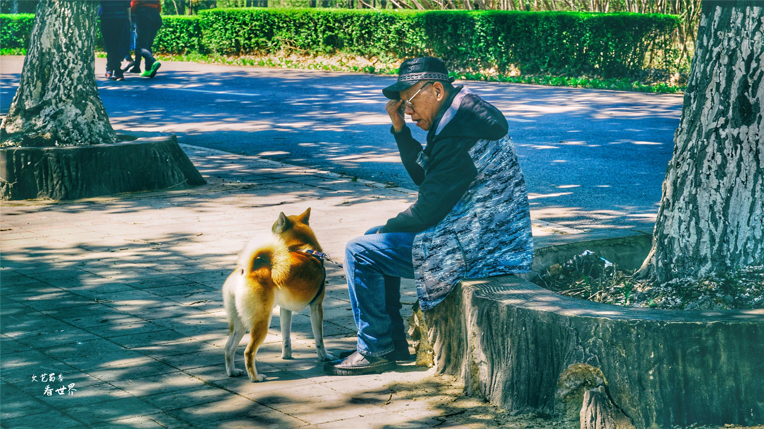 沈阳已被评为国家中心城了吗,沈阳被评为国家交通枢纽城市