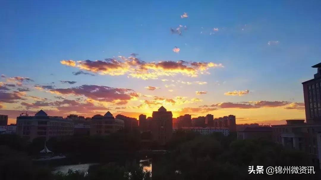 锦州渤海大学！全国最美大学之一！新入学的同学想知道的都在这里