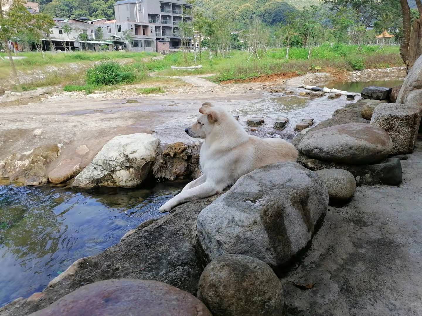 惠州罗浮山酥醪景区天然氧吧,罗浮山酥醪村天然氧吧民宿