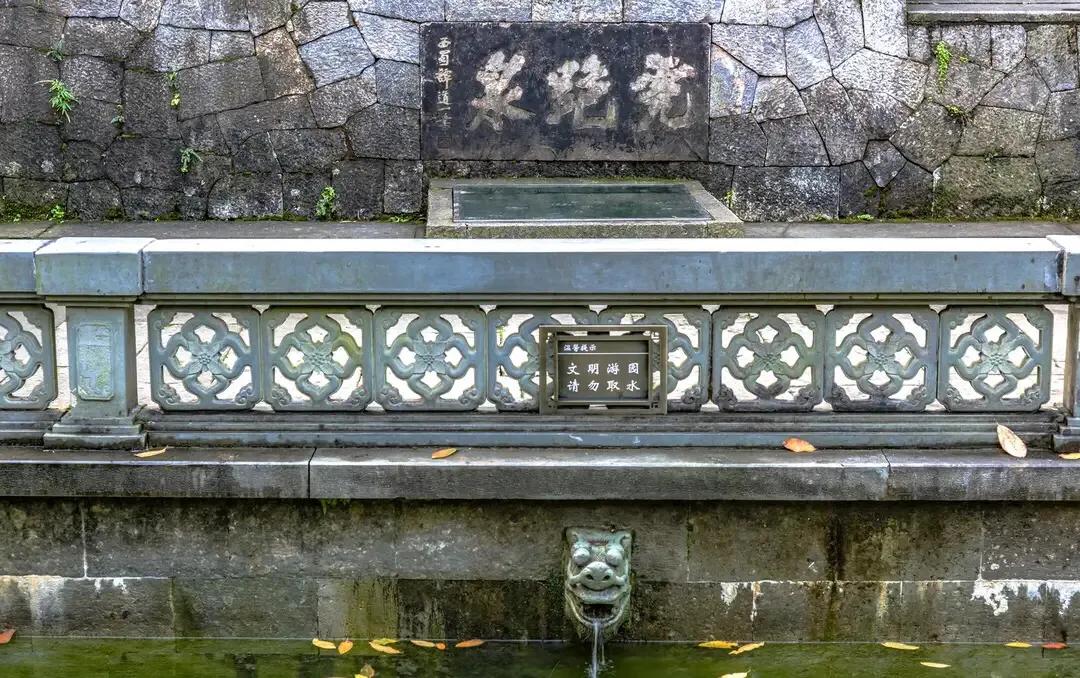 如何挑选西湖龙井茶,西湖龙井茶多少一斤