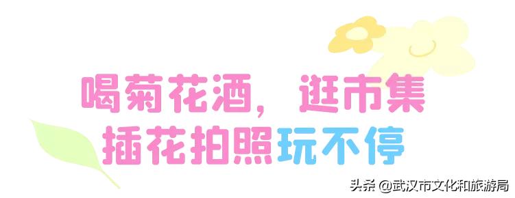 武汉秋天的第一场音乐节,武汉秋天第一场音乐节