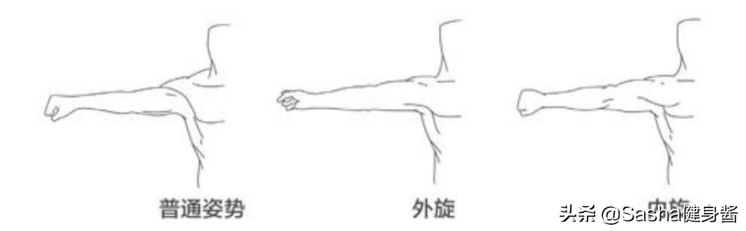 脖颈前伸腰背痛,都是探颈惹的祸,睡前做两个动作,改善探颈问题