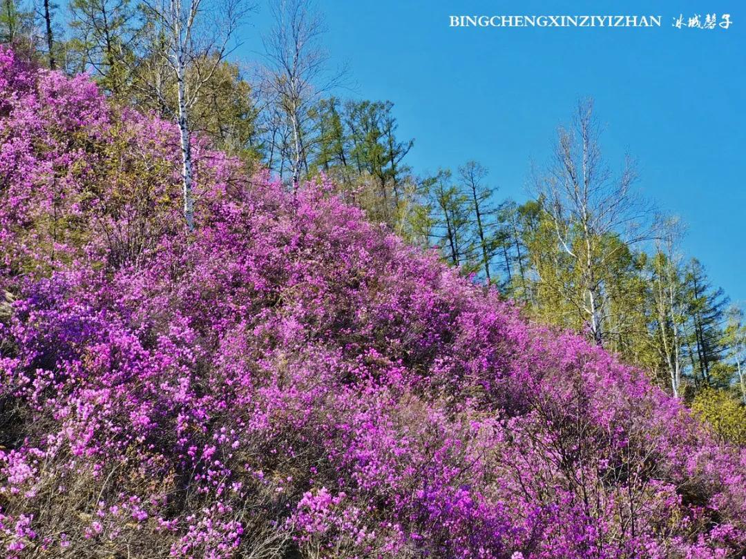 寻找中国最美的春季,探寻中国最美秘境