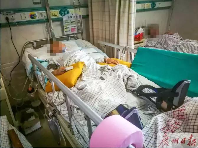 女子被天降大狗砸死,女子被天降大狗砸瘫获赔超百万