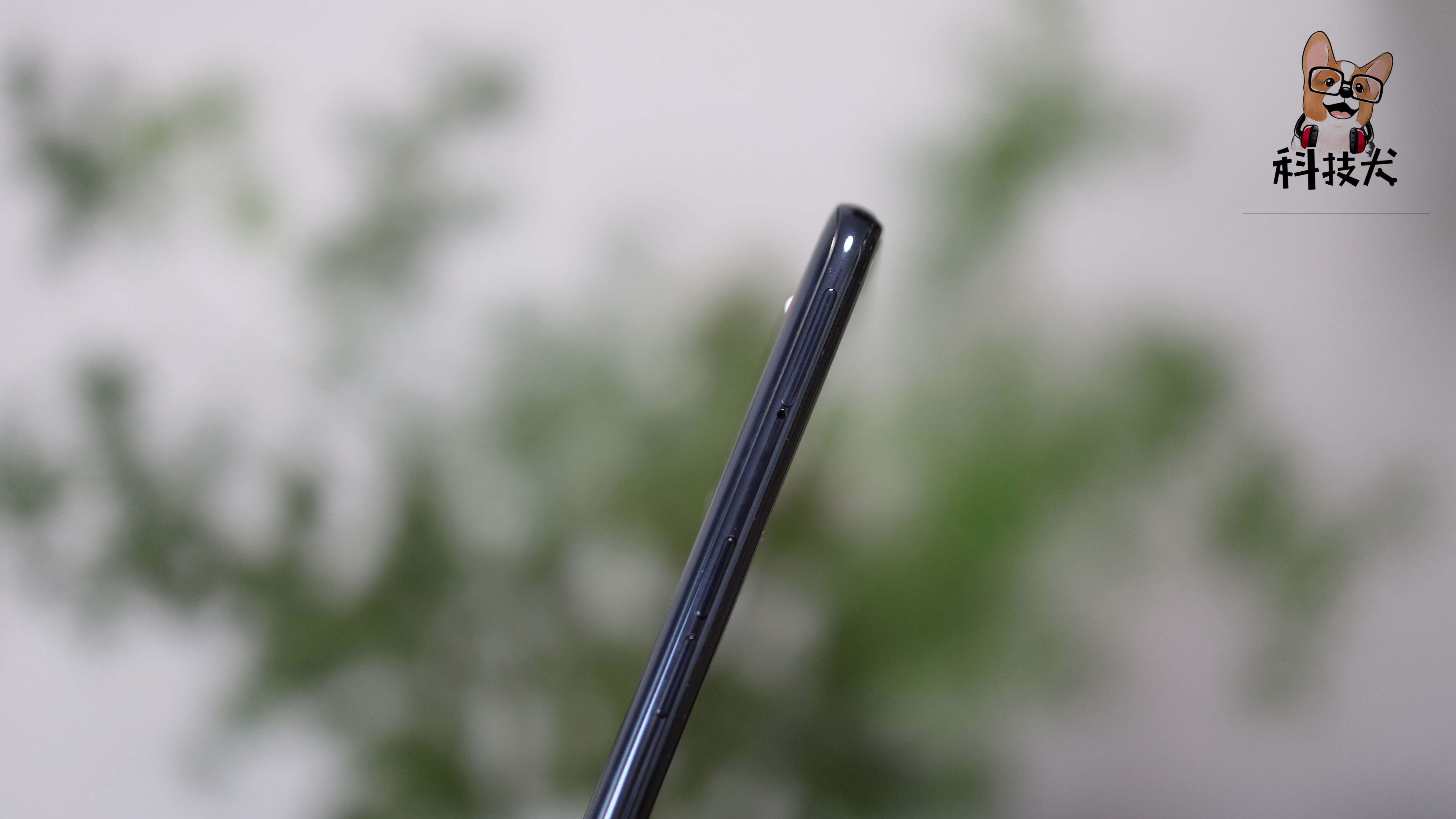 科技犬小米,科技犬正品