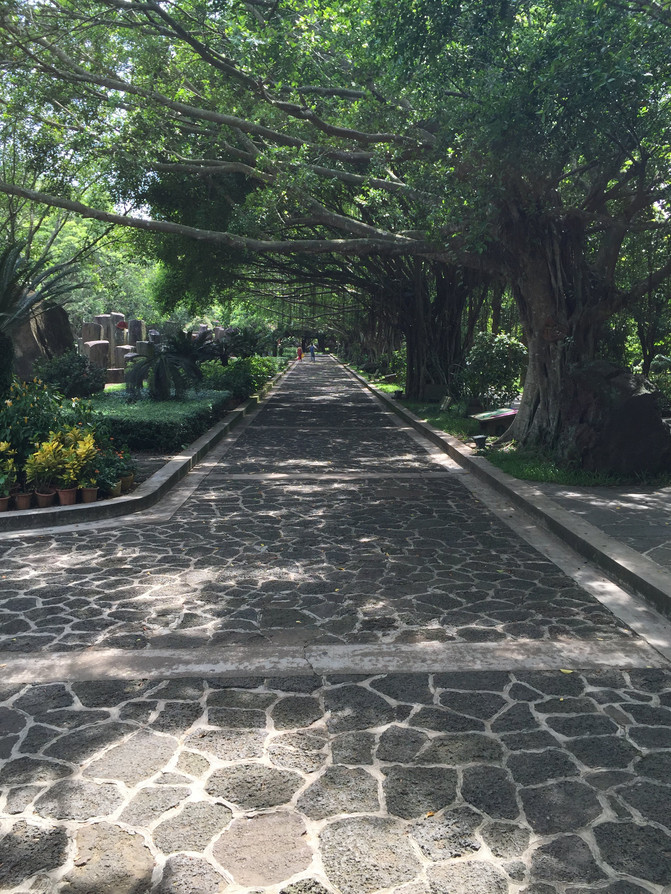 在这个阳光明媚的春季,在这个阳光灿烂的日子里