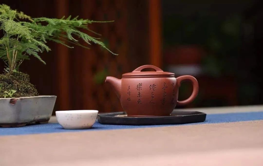 怎样的茶才算好白茶,怎么样的茶才算浓