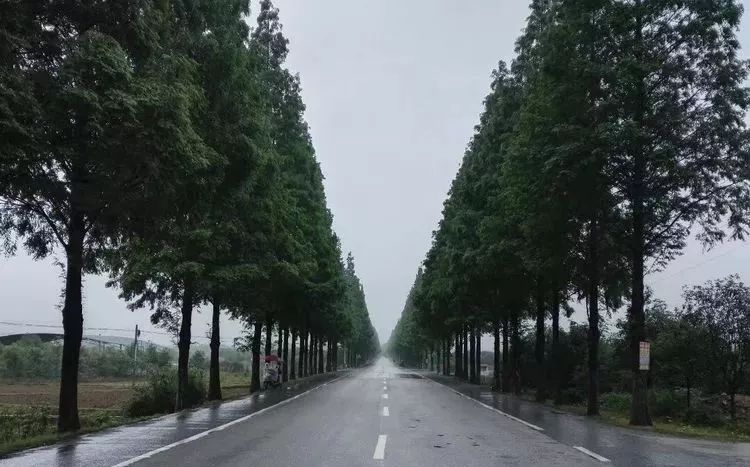 125cc摩旅路上的真实感受,125cc可以长途摩旅吗