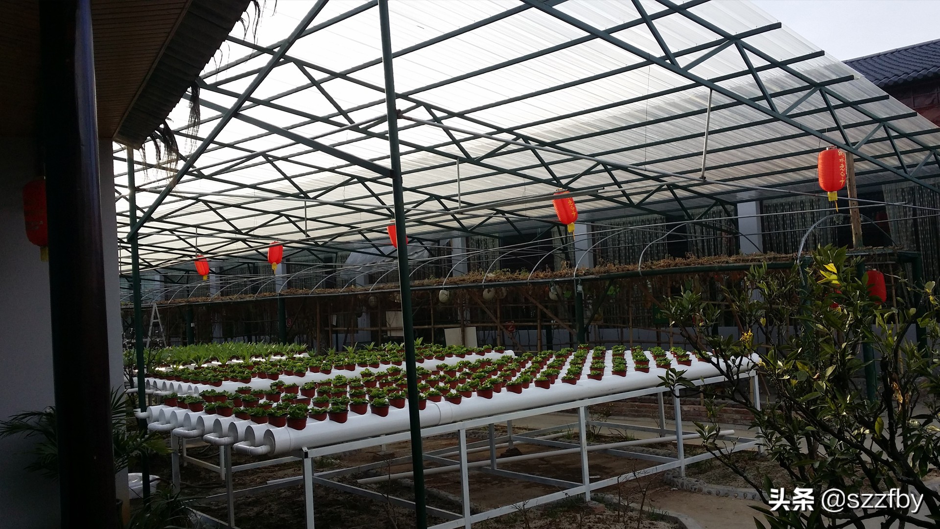 pc透明阳光瓦生产线价格,透明阳光瓦多少钱一平方