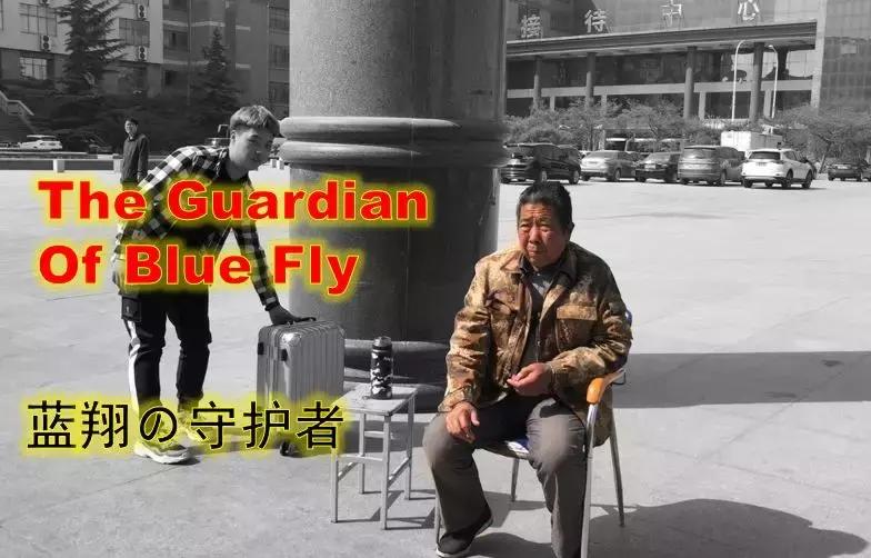 山东蓝翔学挖掘机视频,蓝翔学开挖掘机