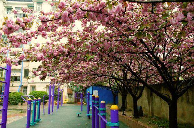 南京评选过十佳宜居城市,南京市三大片区