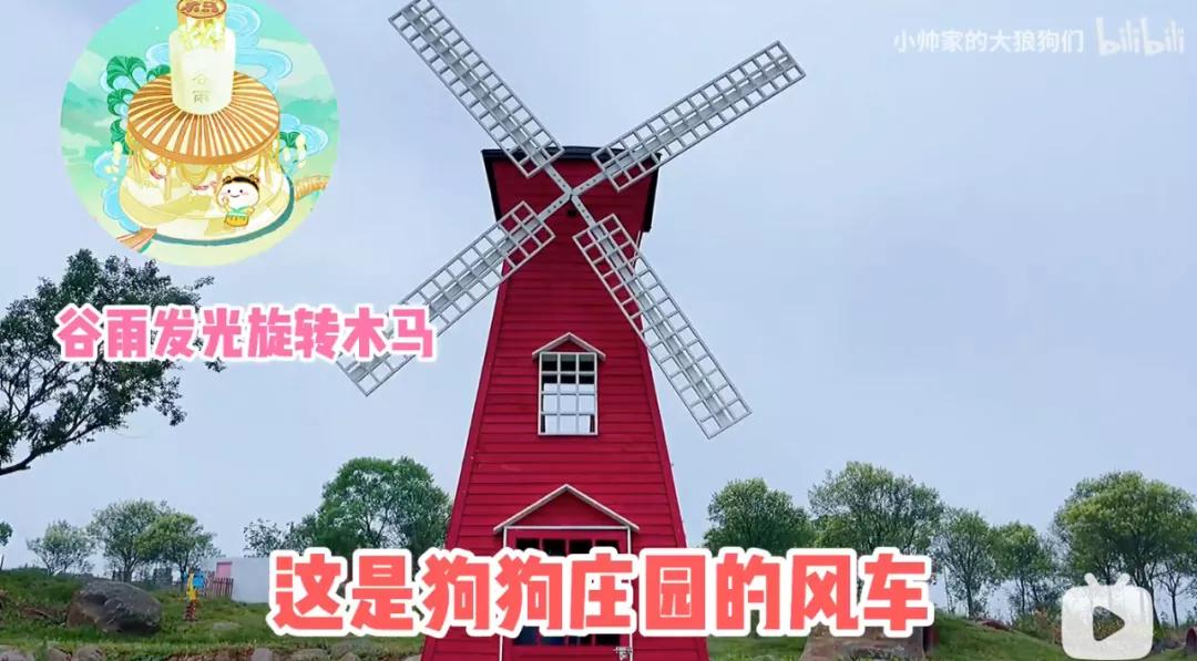 花三年建宠物乐园,花20万给狗打造乐园