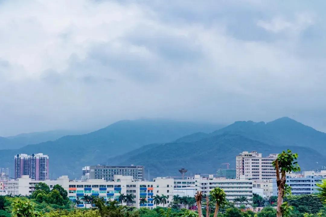 深圳这10条绿道你去过没,深圳十大绿道排行榜